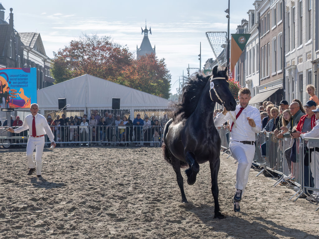 Paardenmarkt Vianen 2026.