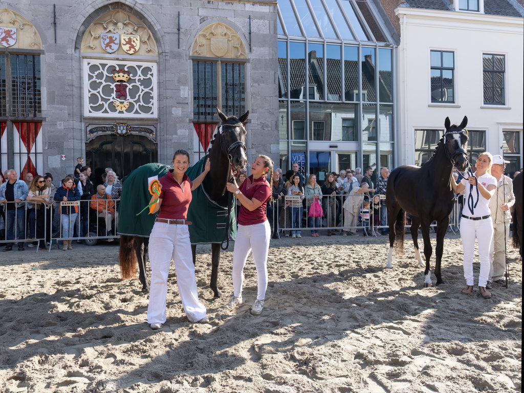Paardenmarkt Vianen 2026.