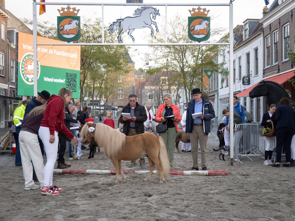 Paardenmarkt Vianen 2026.