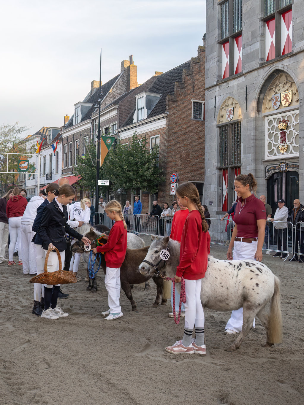 Paardenmarkt Vianen 2026.