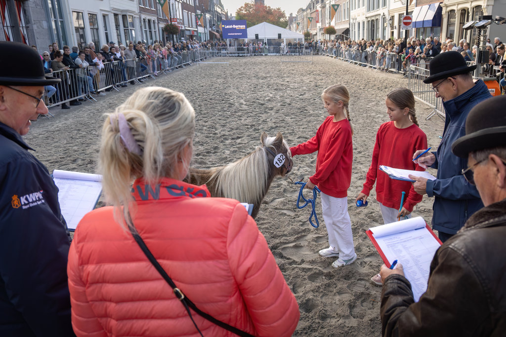 Paardenmarkt Vianen 2026.