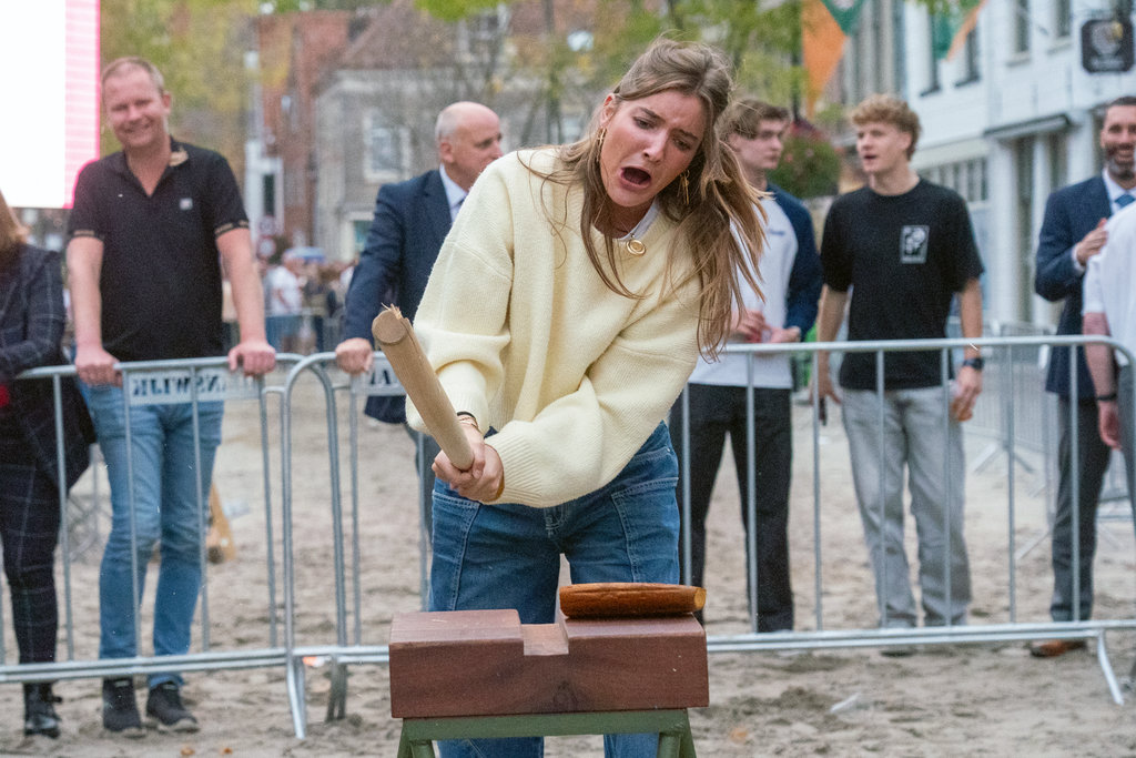 Paardenmarkt Vianen ( Middag )