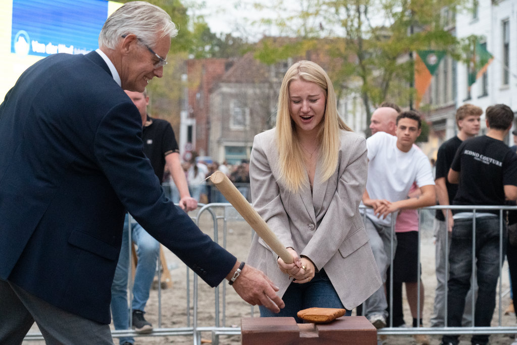 Paardenmarkt Vianen ( Middag )