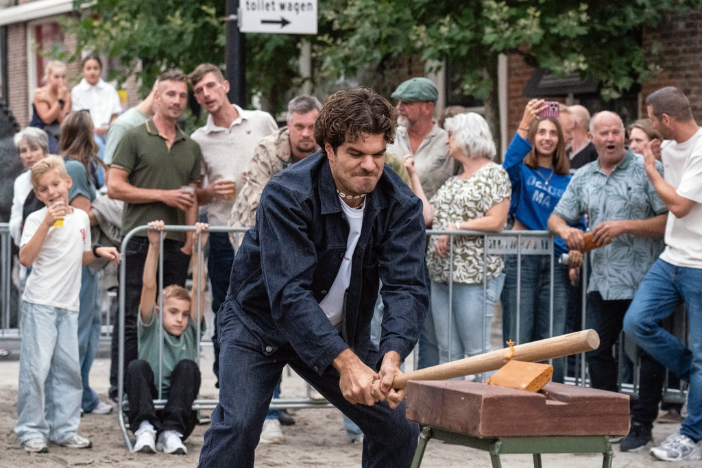 Paardenmarkt Vianen ( Middag )