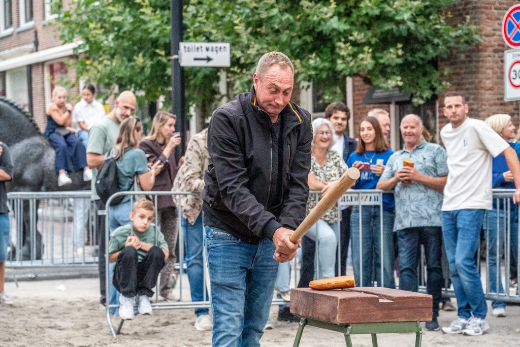 Paardenmarkt Vianen ( Middag )