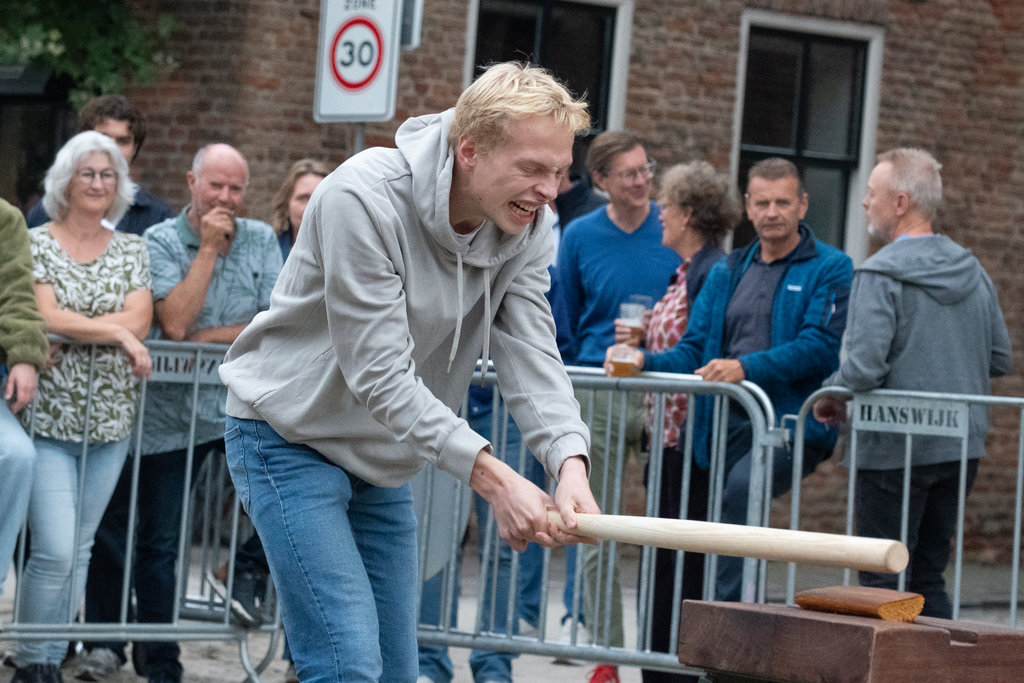 Paardenmarkt Vianen ( Middag )