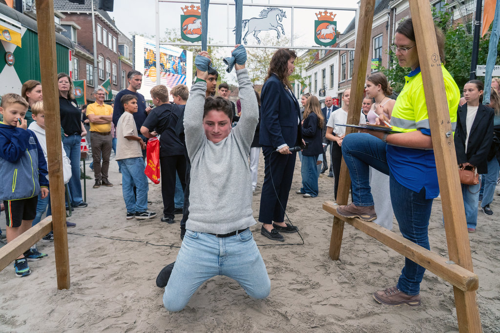 Paardenmarkt Vianen ( Middag )