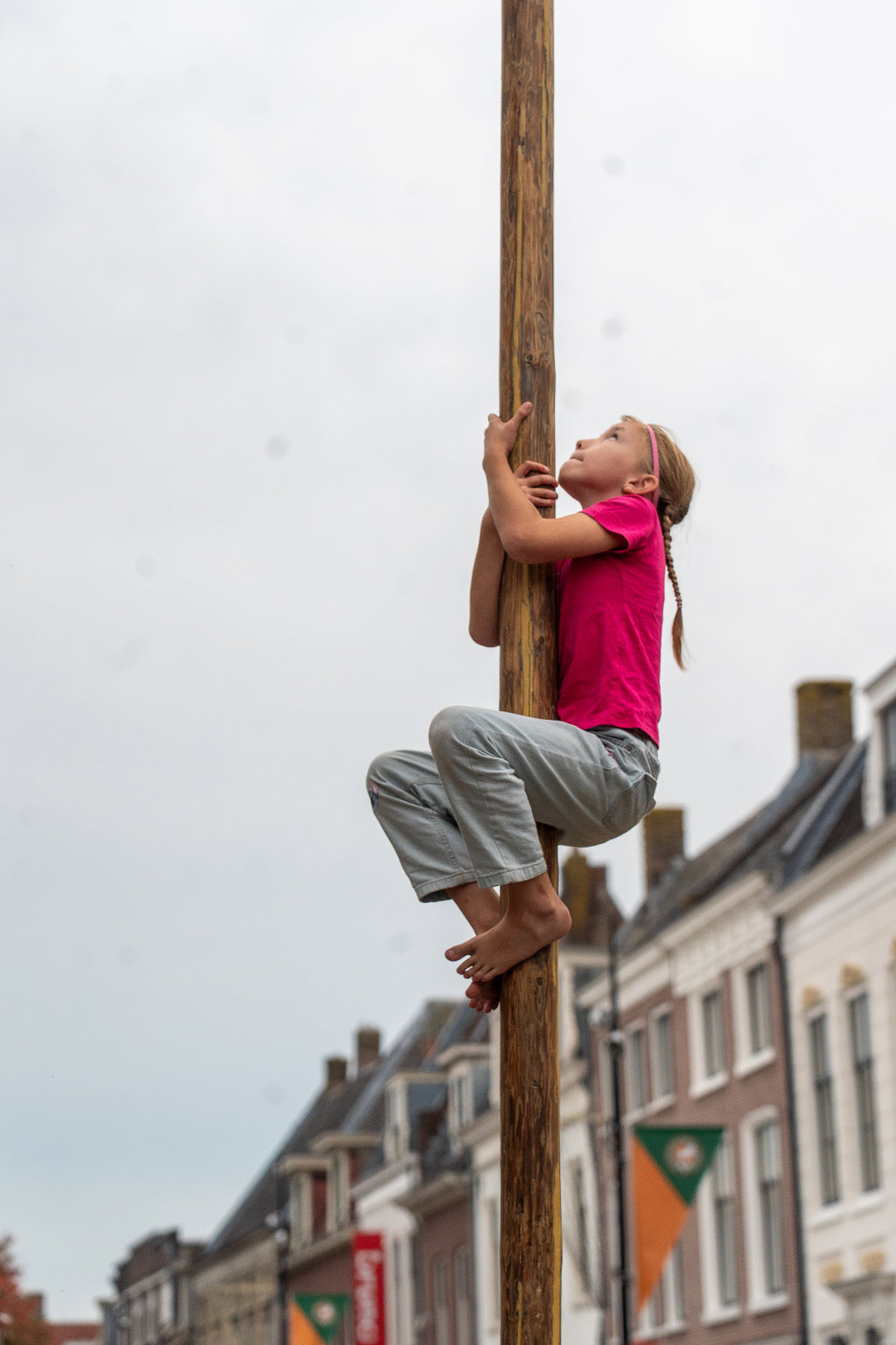Paardenmarkt Vianen ( Middag )