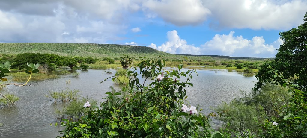 Palu di Lechi bij de Dam van Malpais