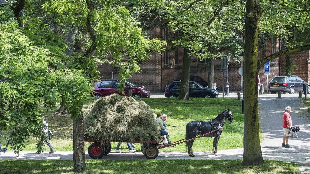 Paard, wagen en een hoop gras bij de Catharijnesingel (2016). Foto: Robert Oosterbroek