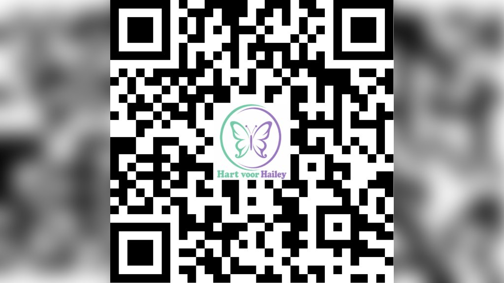 Hailey steunen kan via de afgebeelde QR-code.