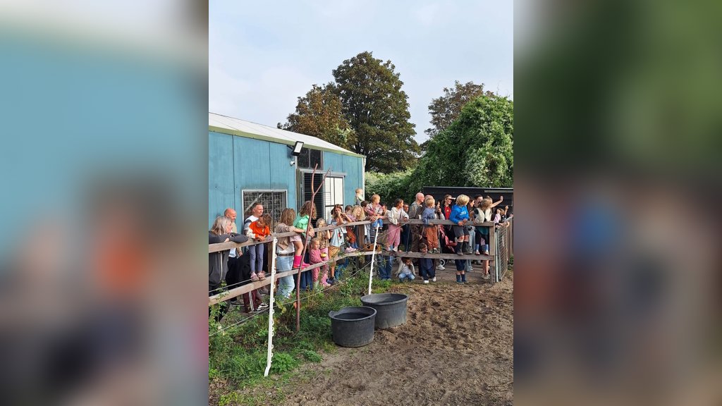 Er was veel belangstelling bij de mini paarden demonstratie.