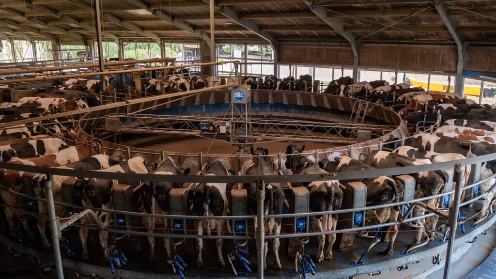Familie Van Vliet melkt met een carrousel van vijftig stands.