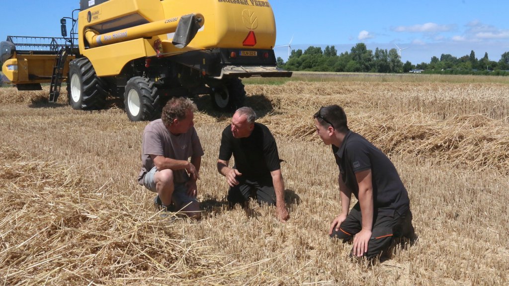Michael Schippers (links) controleert samen met de loonwerkers de maaihoogte en de korreluitval.