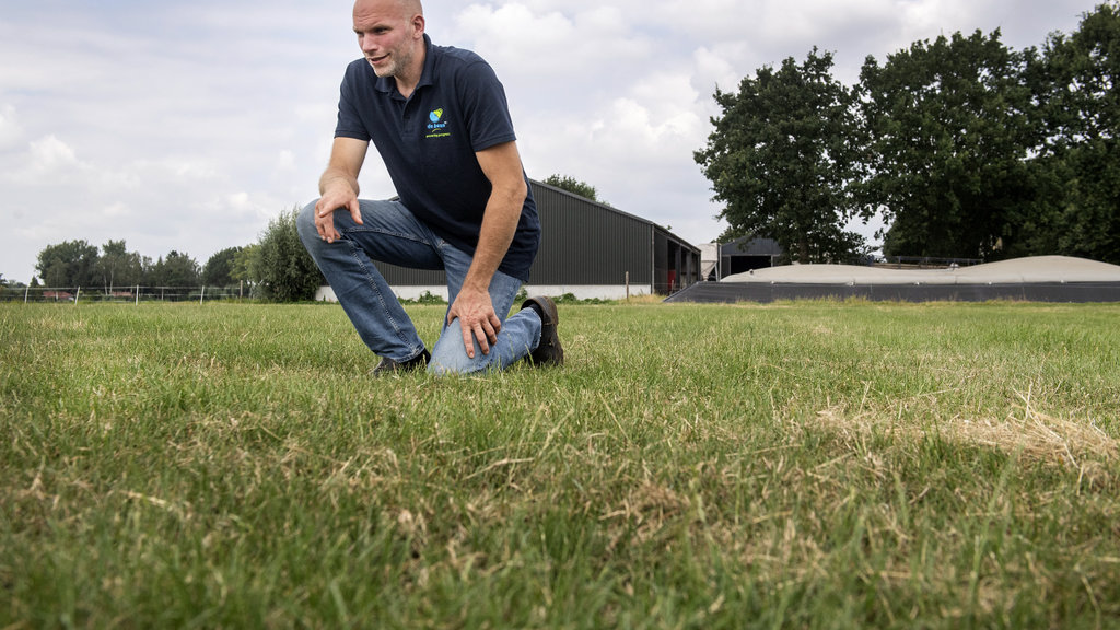 Job van de Water inspecteert zijn grasland. Op de achtergrond de opslag van dunne mest en renure.