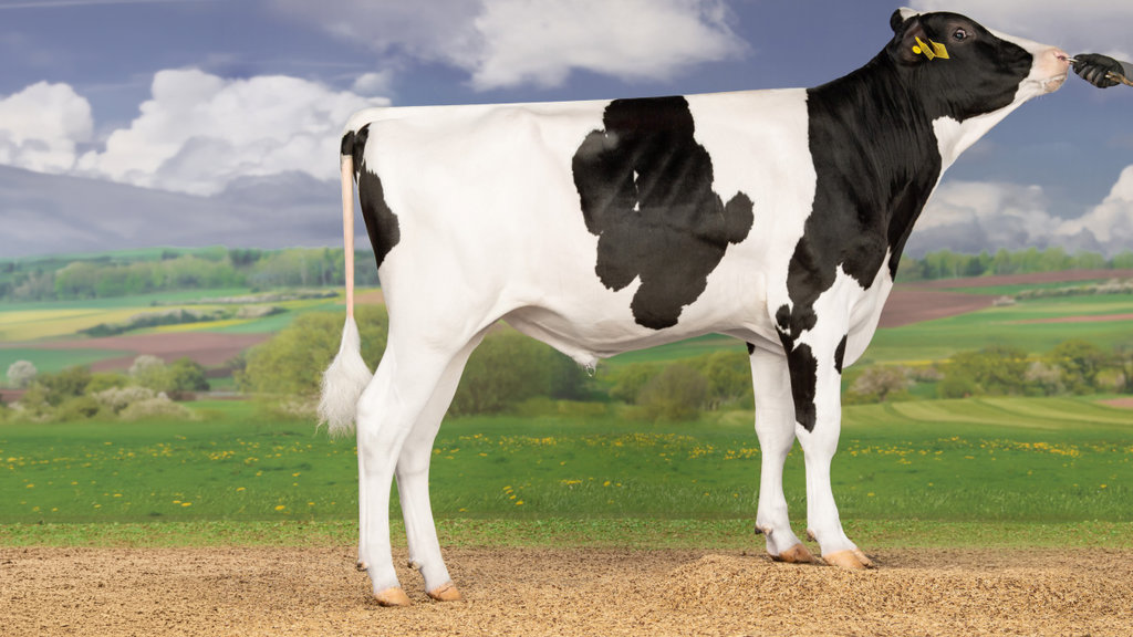 3Star Olde Slim is verkocht naar Duitsland.
