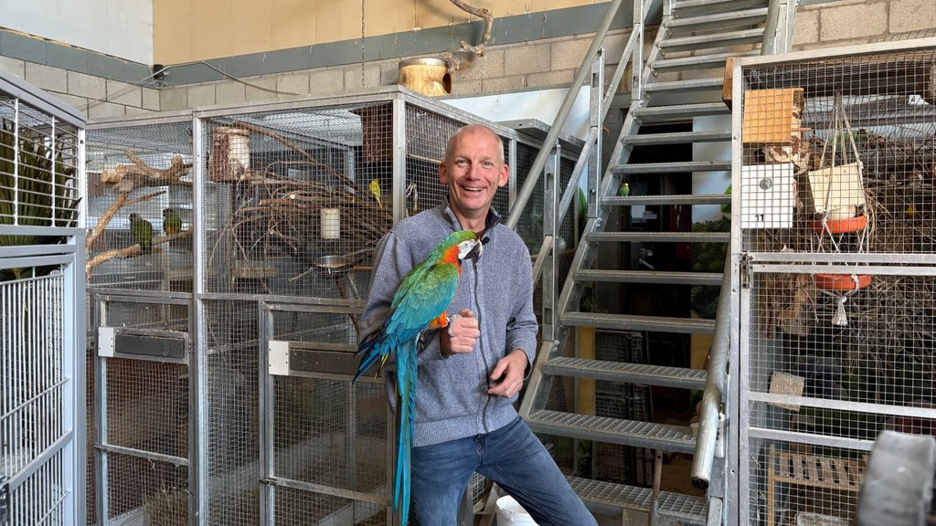 Jeroen: “Aan een papegaai kun je dus ook zo zien of en hoe die is opgevoed, net als bij een kind”