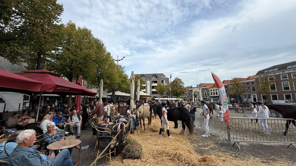 Landbouwdag op het Waagplein.