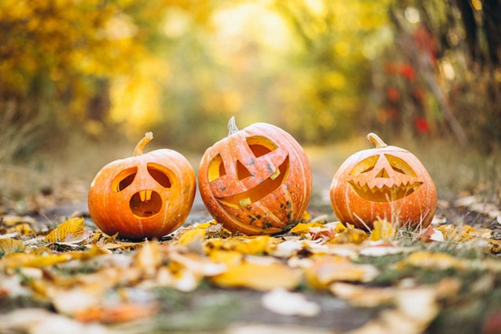 Kom in die heerlijke herfstsferen!