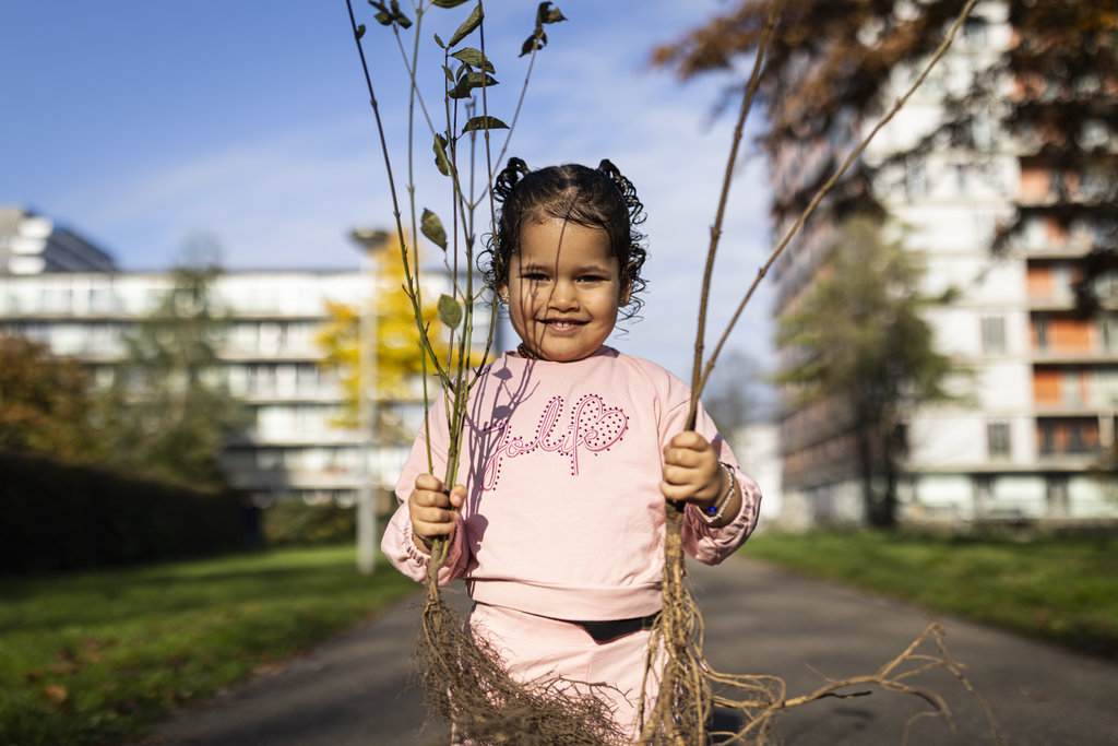 De organisatie roept Amsterdammers op om zoveel mogelijk bomen te planten, tijdens en na de uitdeelactie van 7 november.
