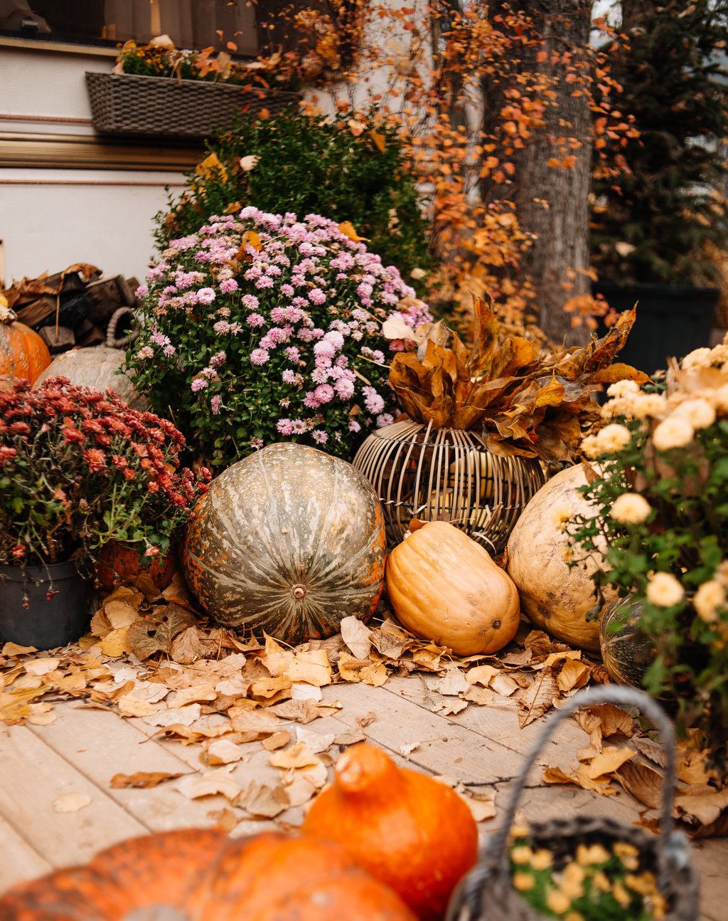 Ook in oktober is er genoeg te doen in de tuin!