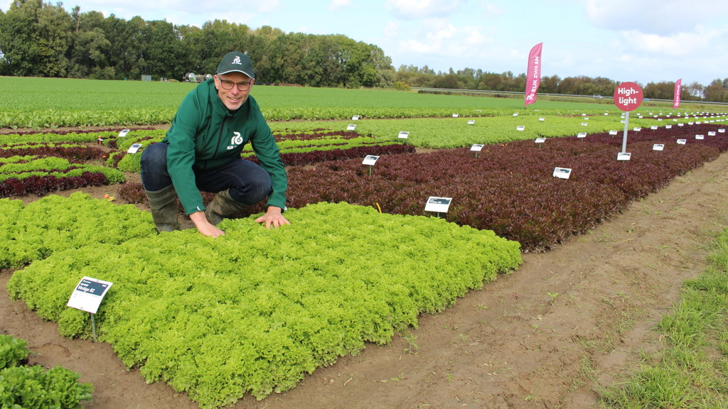 Daan Heidema laat diverse slasoorten zien in hoge plantdichtheden om eventueel te kunnen maaien.