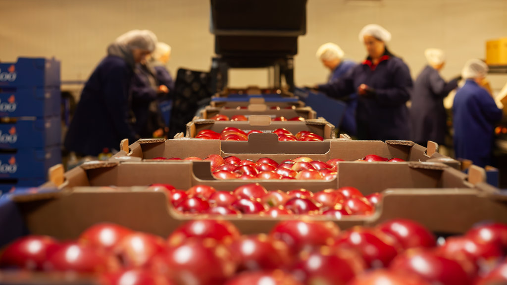 Rabo kan de verpakking en productpresentatie aan specifieke afnemerseisen aanpassen.