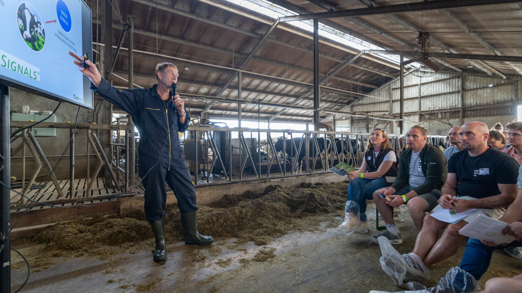 Vijf jaar Tomorrow's Dairy werd gevierd met onder andere workshops voor de deelnemende melkveehouders.
