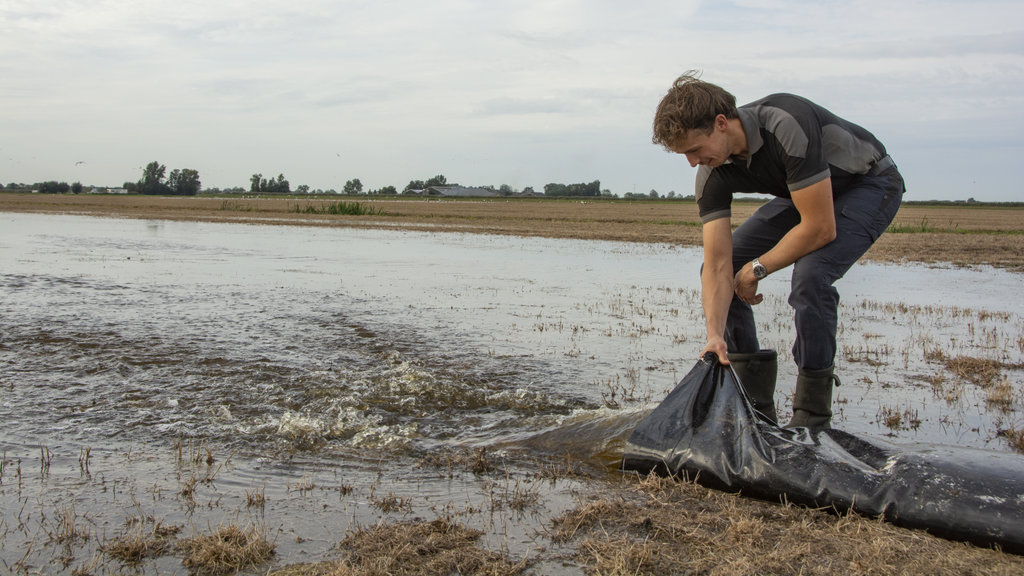 Bedrijfsleider Sander Stuij bevloeit een perceel tegen de muizen.