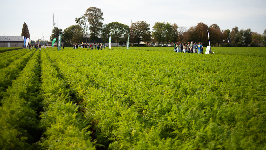 De Nationale Peen Manifestatie in het Flevolandse Lelystad vond plaats op woensdag 7 oktober.