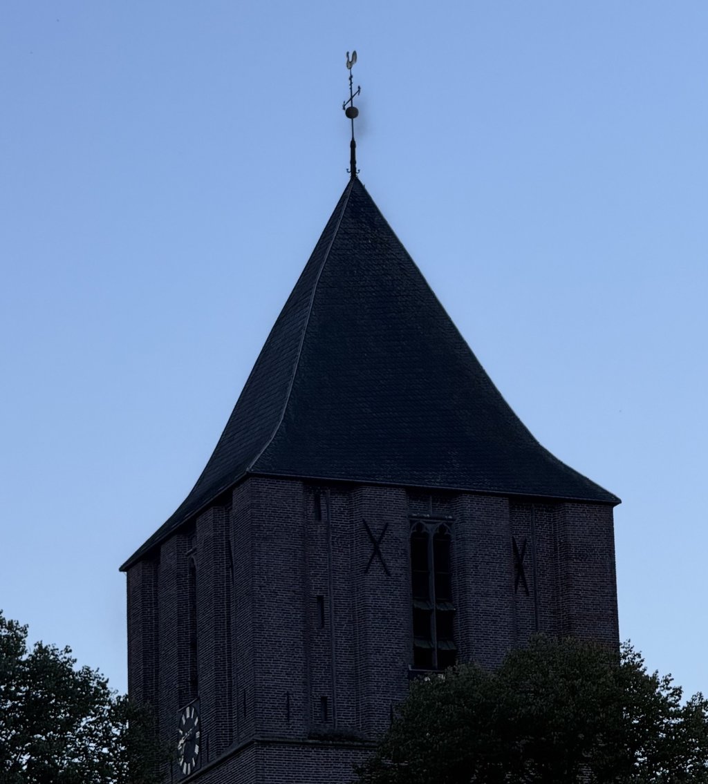 Zwerm vliegen boven de toren van de Grote kerk.