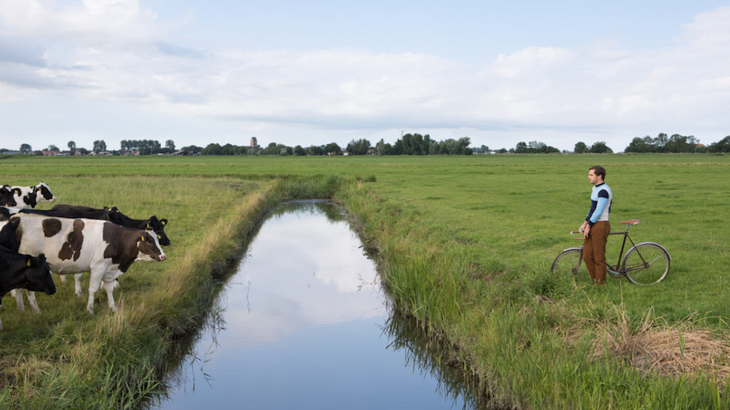Kleilandschap met koeien. Foto: Tryntsje Nauta. Foto bij cursus ambassadeur Nationaal Landschap Zuidwest Fryslân, januari 2024