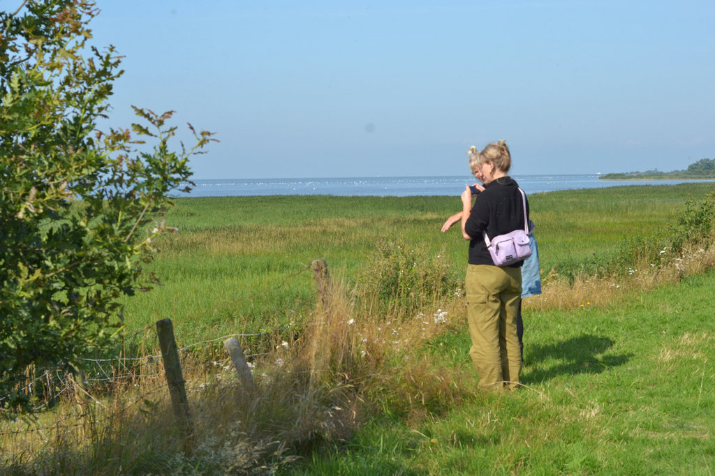 Baukje Miedema Krûdetún en klif 'De Reidikker',  Photo: Teresa Carvalheira. Persbericht Nationaal Landschap Zuidwest Fryslân 15 juli 2024