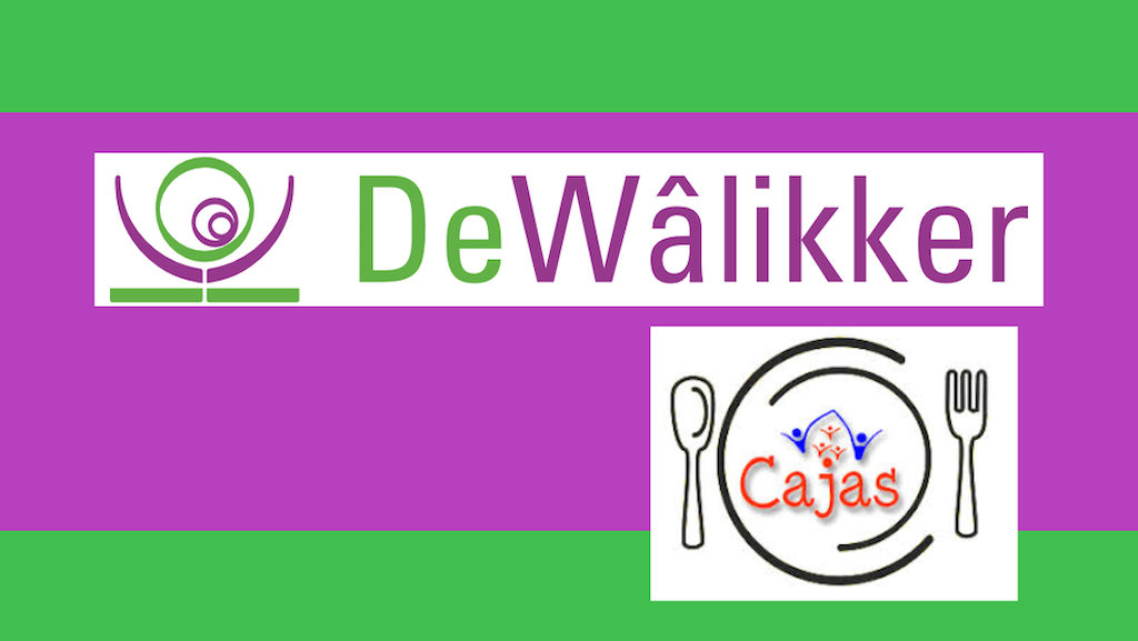 Oproep Vrijwilligers pleinwachten De Walikker, september 2024