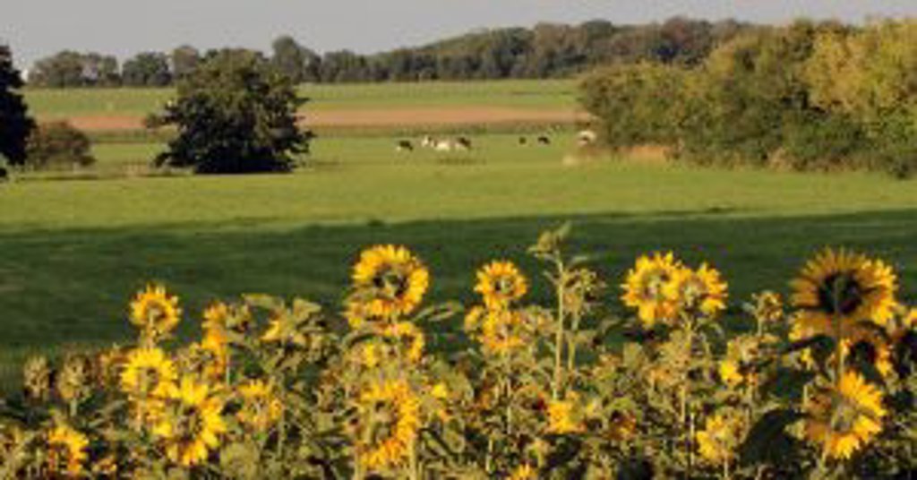 250717 foto Jan Tijsma TOP plekjes Zuidwest Fryslân