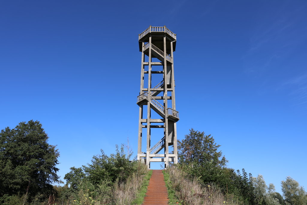 Belvedere toren in Oranjewoud