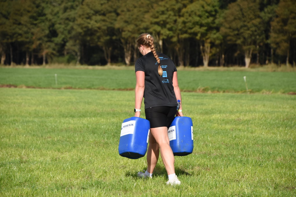 Boerrox in Terband