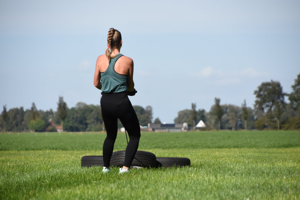 Boerrox in Terband
