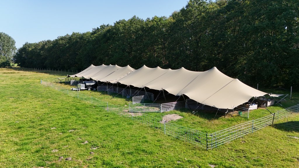 Bij de mobiele schaapskooien worden publieksrasters geplaatst om bezoekers van natuurgebieden  bij de schapen weg te houden.