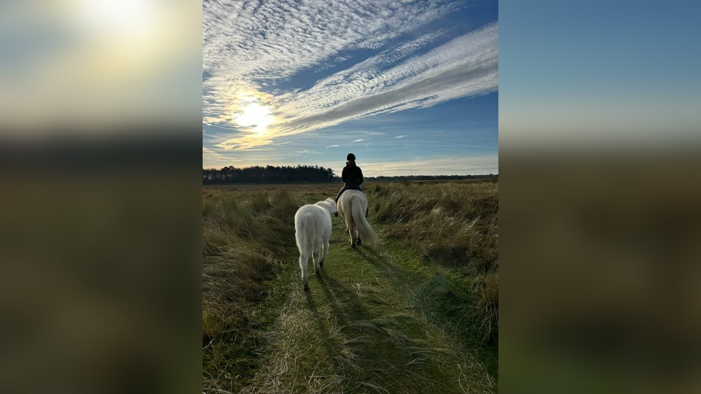Manon, Tesla en Njóla op buitenrit