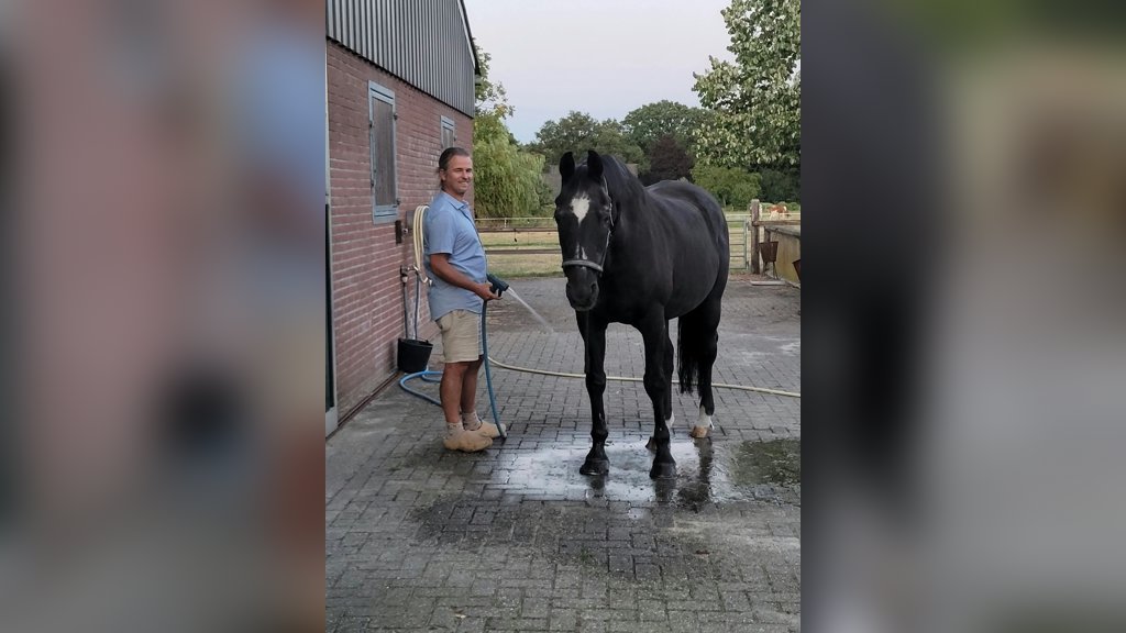 Een recente foto van Prins