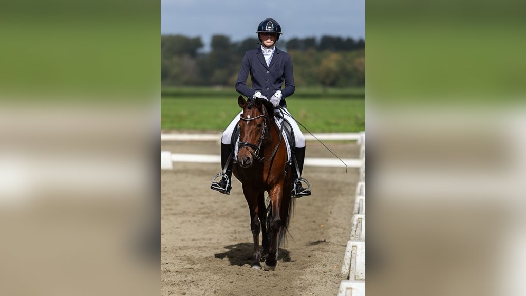 Anne Berlijn heeft een bijzondere belangstelling voor het opleiden van jonge paarden, fokkerij en paardenwelzijn.