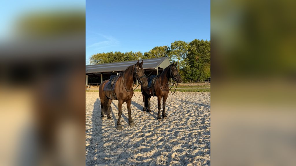 Imke en Teuntje
