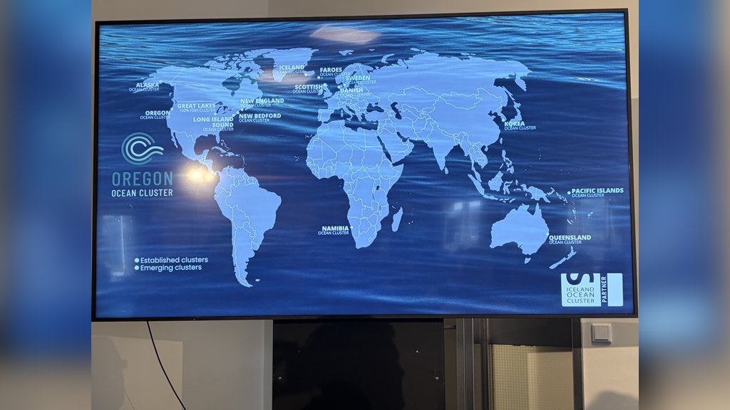 Een overzicht van de huidige ocean clusters wereldwijd, zusterclusters van het Icelandic Ocean Cluster.