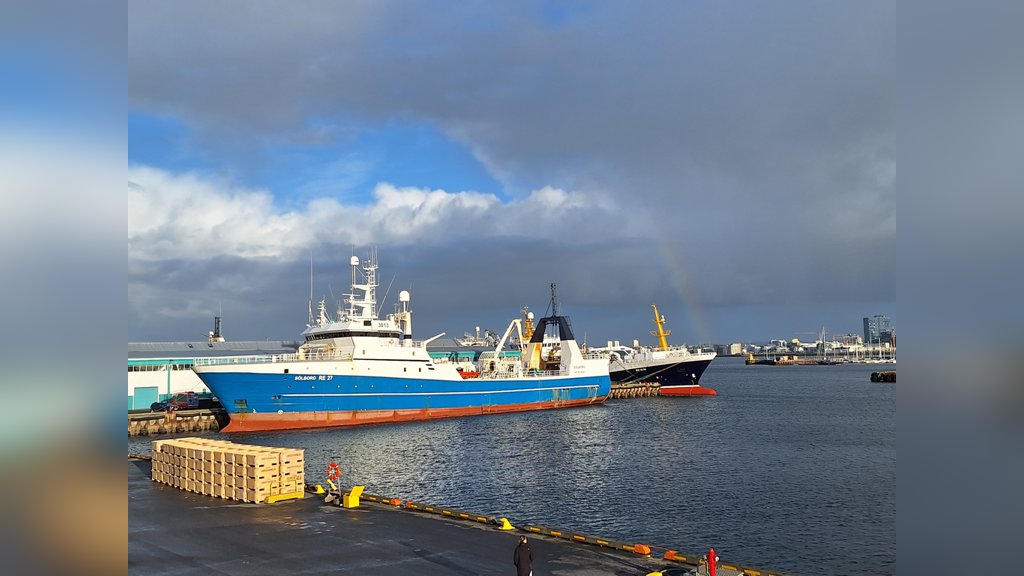 Haven van de IJslandse hoofdstad Reykjavík.