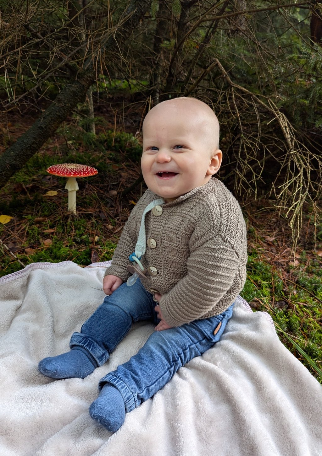 ,,We kwamen in het bos een mooie paddestoel tegen. Daar hebben we onze vrolijke baby van 9 maanden bij gezet en het is een prachtig plaatje geworden’’, vertelt Nienke Hakvoort.