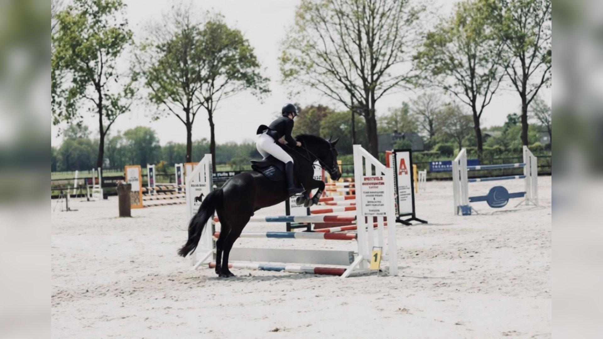 Knappe tweede plaatsen voor Lisette Thuinte en Yvet Nijhof