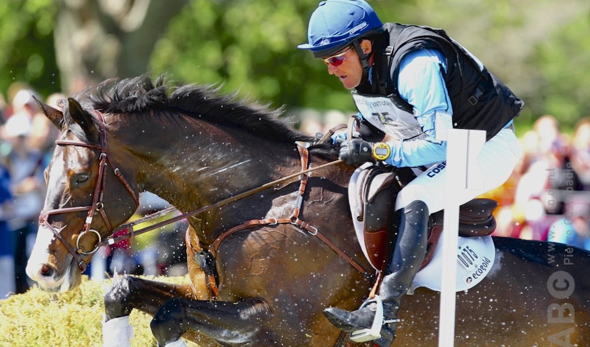5 dingen die we van eventing ruiters kunnen leren - Bit & Cap