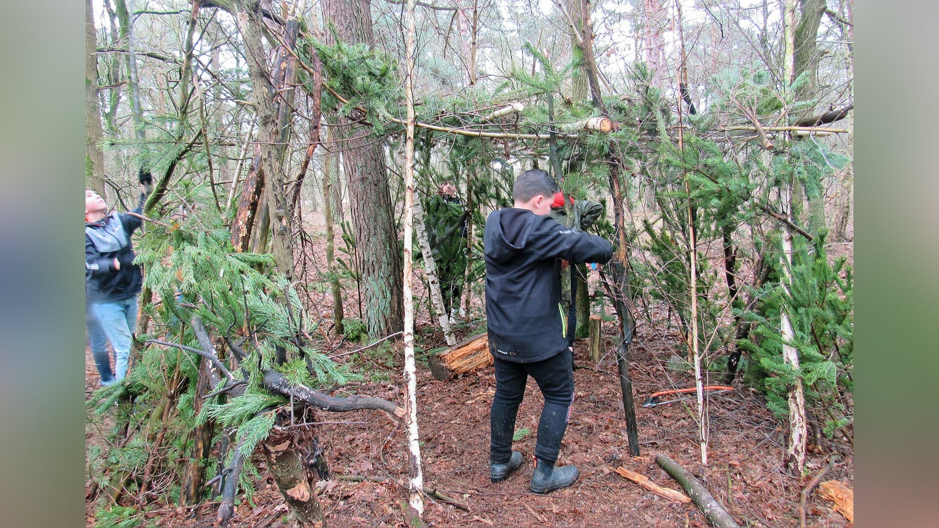 Leerlingen duiken het bos in tijdens Boomfeestdag in Herperduin