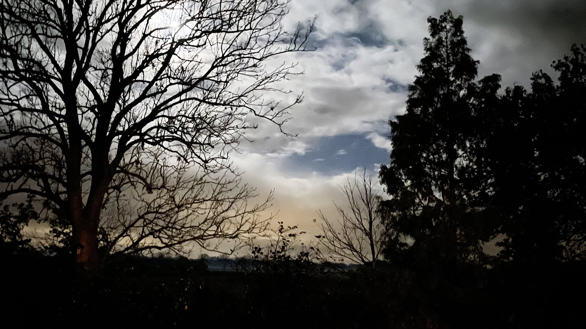 Beleef de Nacht van de Nacht in de Gasselse bossen